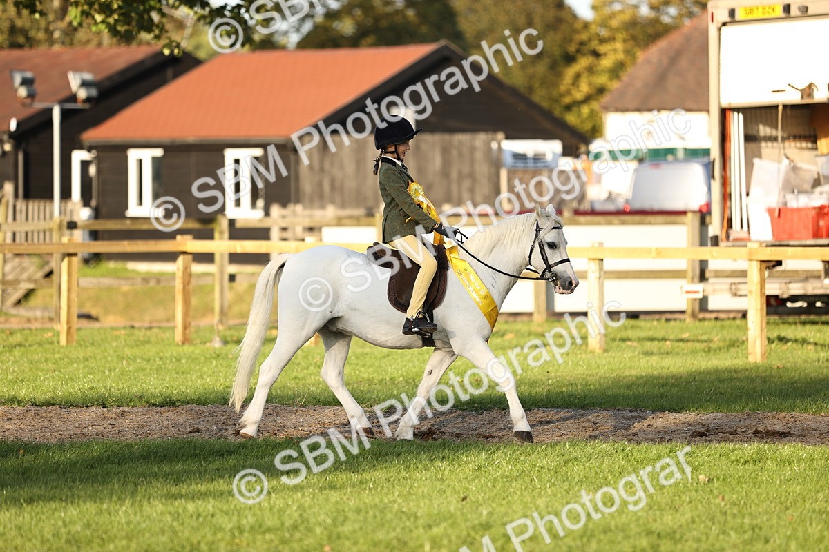 SBM_30106 - Novice & Newcomers Supreme Championship