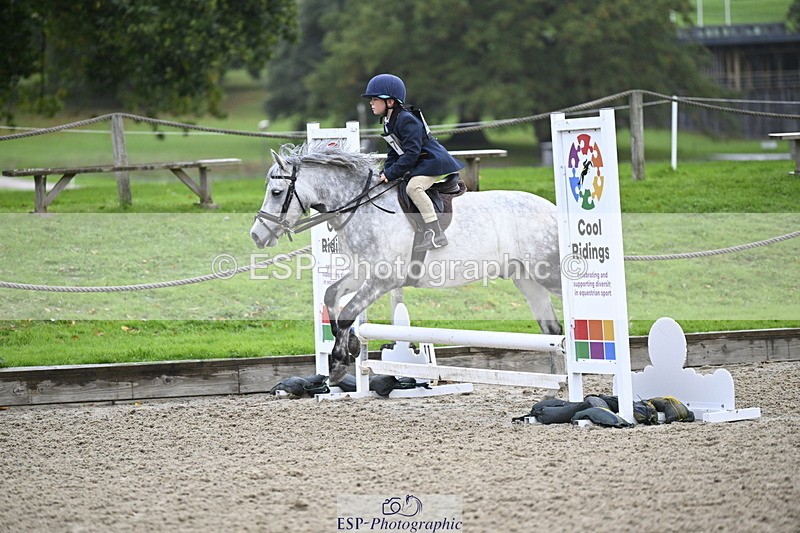 251005A-084839-02849 - Cls 02 GR 50cm