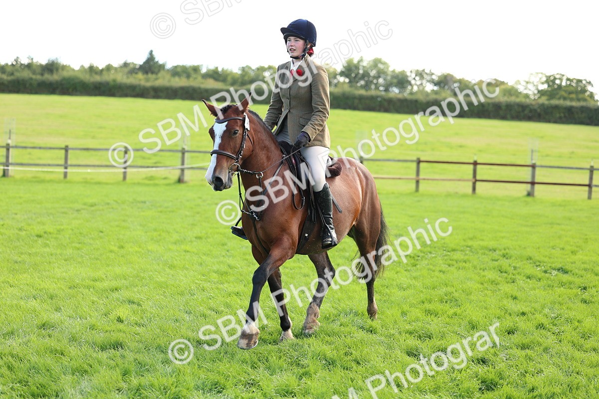 SBM_45505 - S33 - Working Hunter Pony