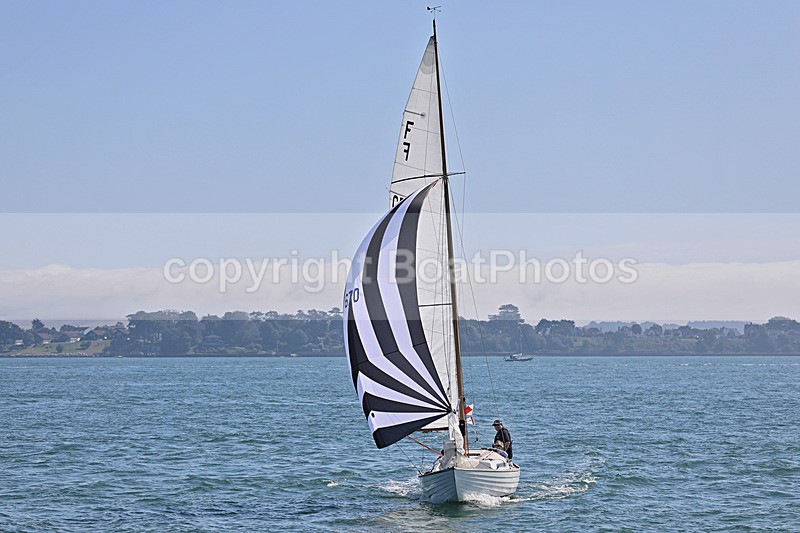 190825 PICKLE GBR670 1Y3A2090 - 190825 PICKLE GBR670