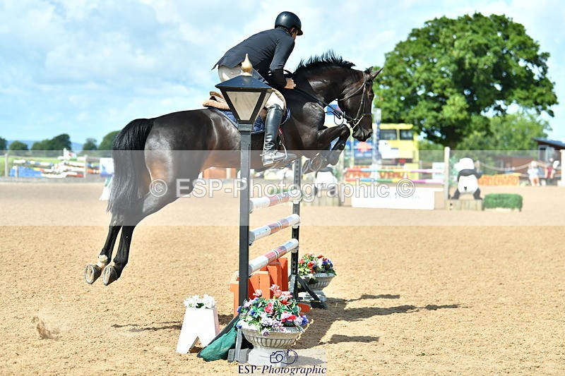 230811A-122813-04189 - Cls 20 Snr Fox