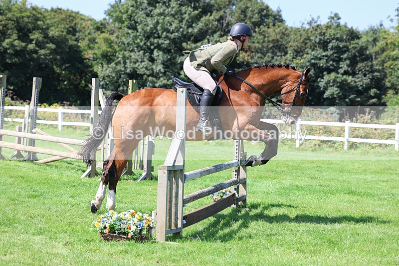 3E7A8551 - Class 5: Working Show Horse