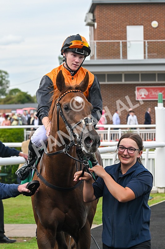 060925-Race 2-Dazzling Haze-4715 - Race 2