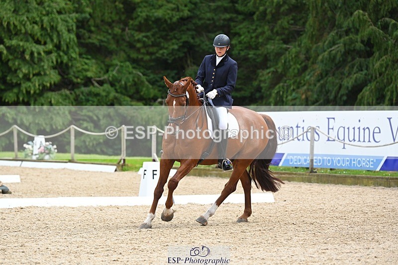 230813-135709-07651 - Cls 13 Medium Bronze 13.15 to End