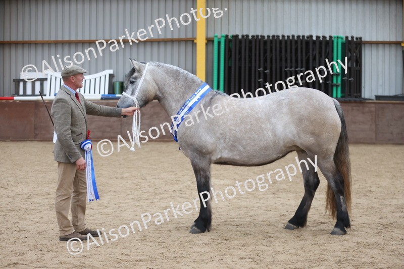 20251109-1170 - Championship