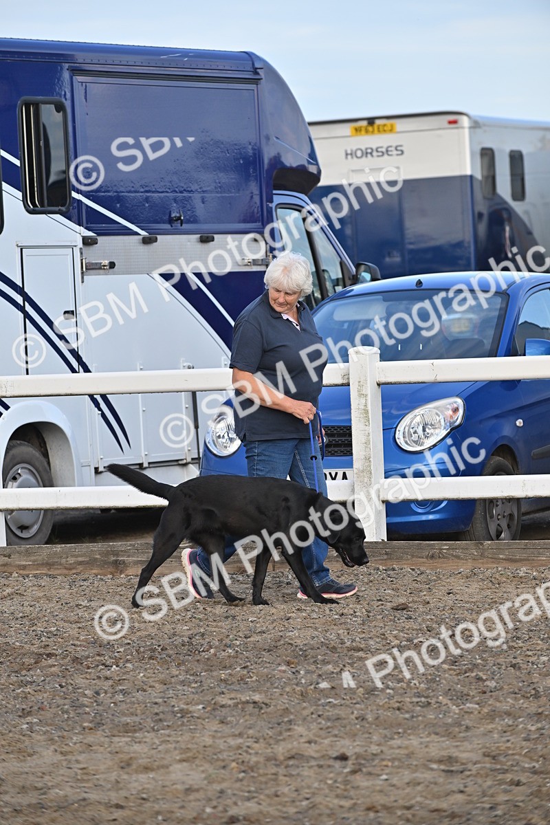 SBM_09517 - Lorry Dogs