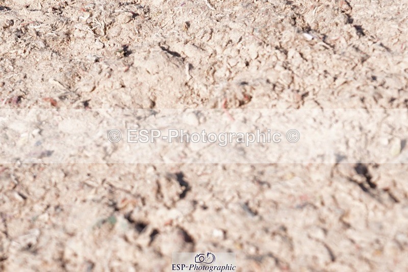 250510-164130-12149 - Cls 17  National 1.40