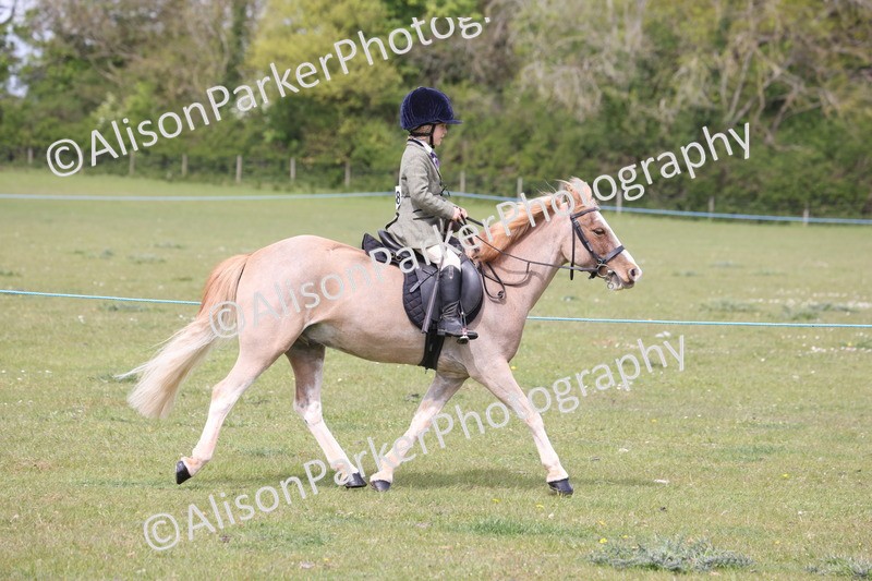 20260426-2945 - Class 33 - Best Pony 14.2hh and Under