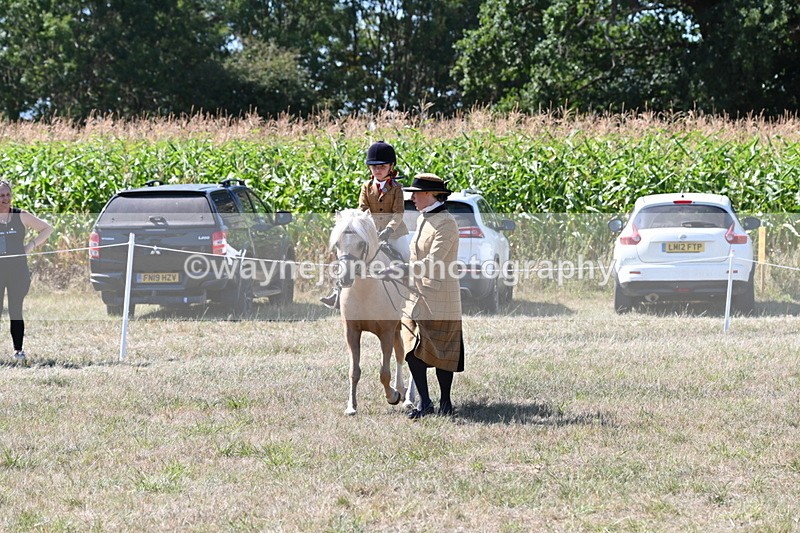 WJ6_8055 - Class 36 Lead Rein