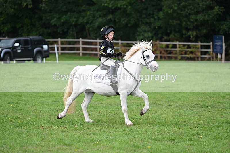 WJ7_3816 - 40cm Time 10:26 to 10:42