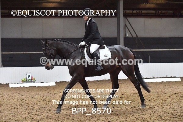 BPP_8570 - NOVICE 4 BD