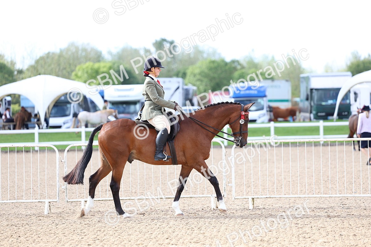 SBM_10038 - Class 304 - Ridden Part Bred Horse Pony