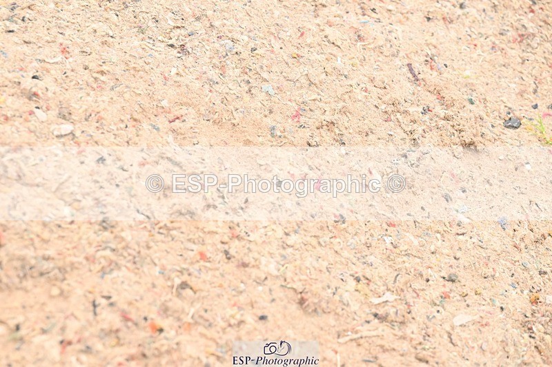 250914-132344-08727 - Cls 29+30 Newcomers and Fox