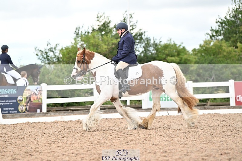 250705-175537-04433 - N2 Section BDNOV2 16.29 to 17.46