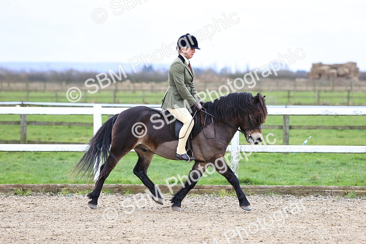 SBM_006780 - Class 29 - 30 - M&M Pure Novice Small-Large Breeds