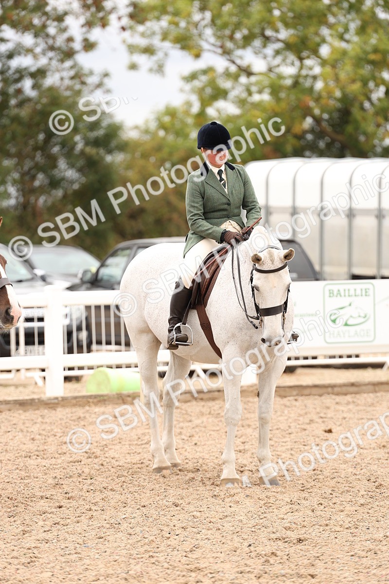 SBM_19587 - Class 215 - Ridden Show cob
