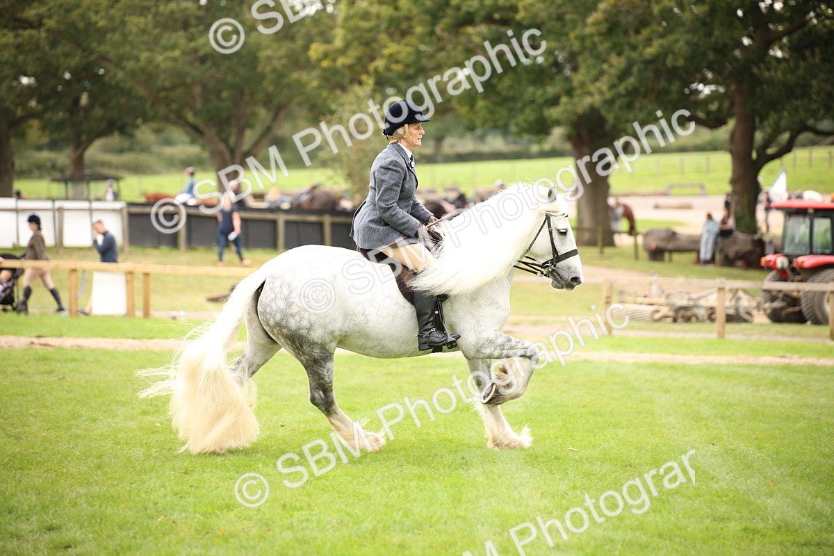 SBM_73476 - S68 - Traditional Cob Ridden