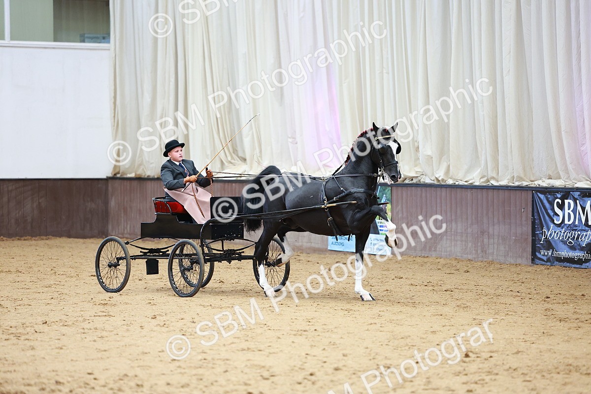 SBM_001000 - Class 13  - HHS Championship Intl Hackney Horse to a Show Wagon