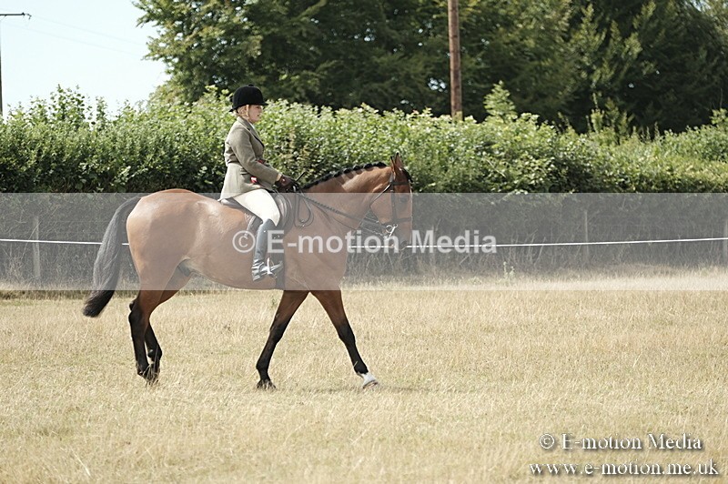 _PJP6103 - Ridden Championship BVRC Show 2018