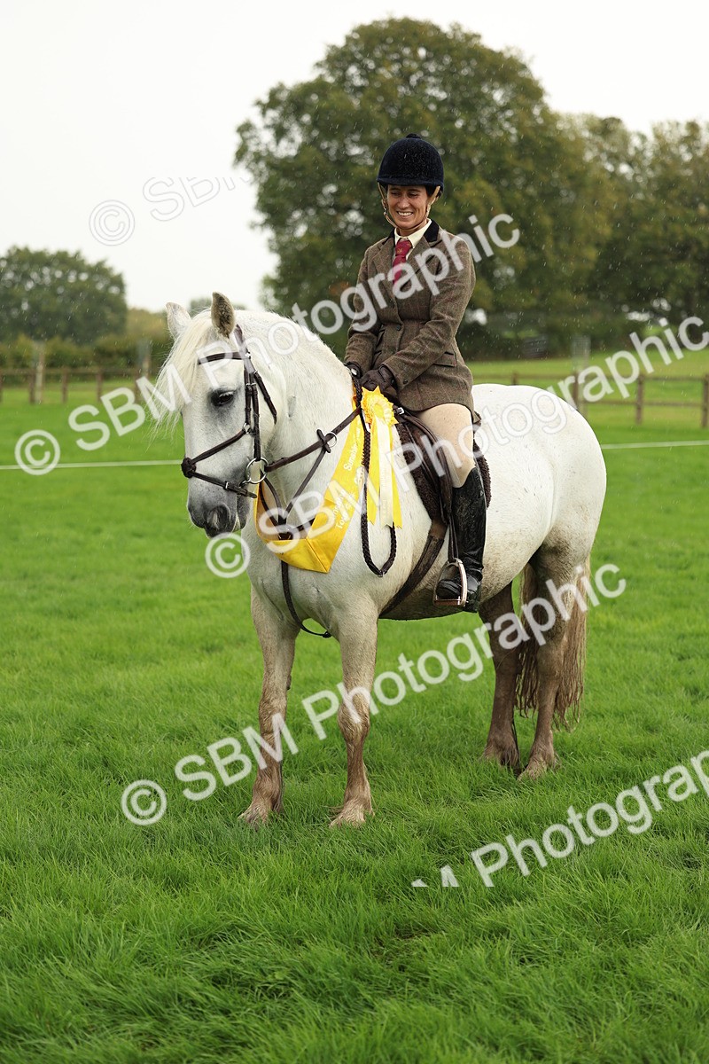 1I0A1508 - S32 - Mountain & Moorland Working Hunter Pony