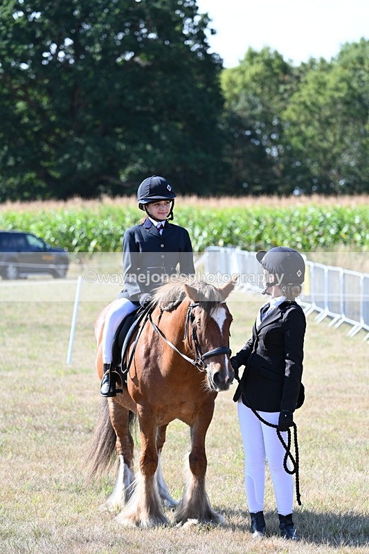 WJ7_3164 - Class 8 Ridden Tack & Turnout