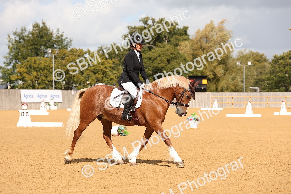 SBM_19508 - D10 - Small Tour Championship Prelim 2