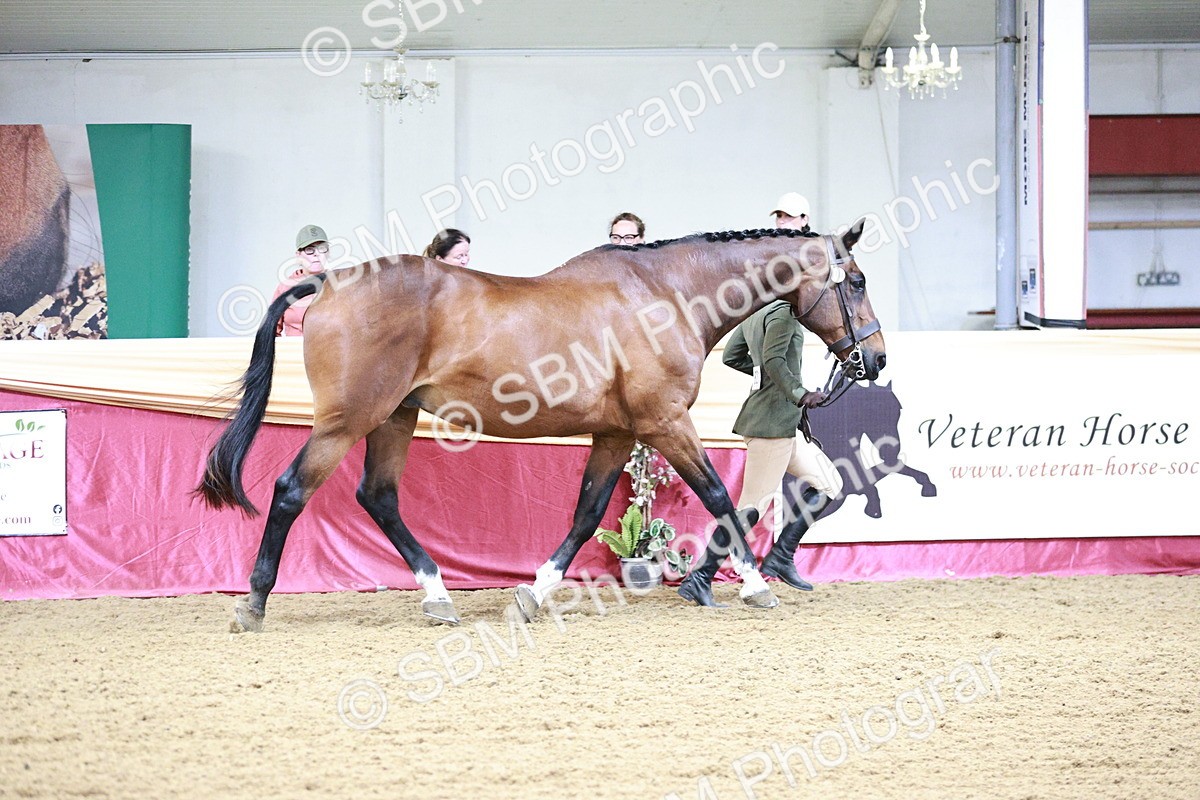 SBM_00179 - Class 1A - Area IH Diamond