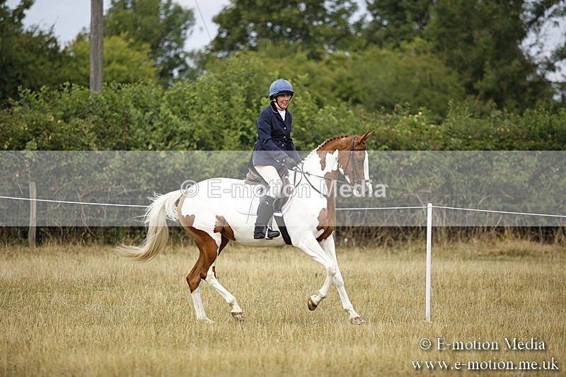 _C7A9486 - BVRC Show 2018 Ring 1