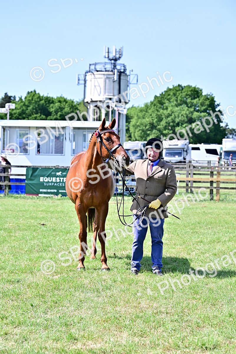SBM_12867 - Class 98 - Retraining of Racehorse In Hand