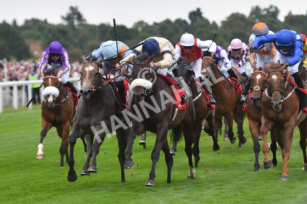 yr18082022r2-46 - Race 2 2.25pm Goffs UK Harry Beeby Premier Yearling Stakes
