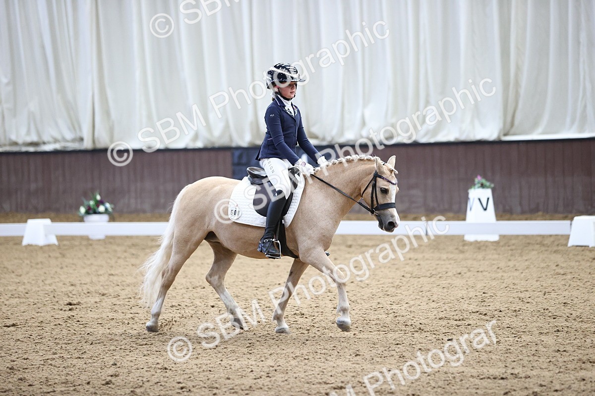 SBM_010405 - Class 3 - Prelim FSM