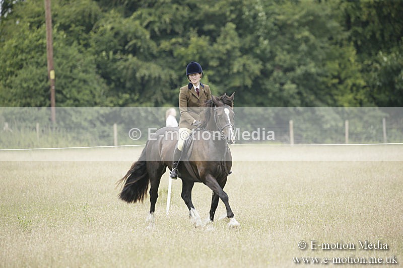 B230619-0508 - Bourne Valley Riding Club Summer Show 23/06/19