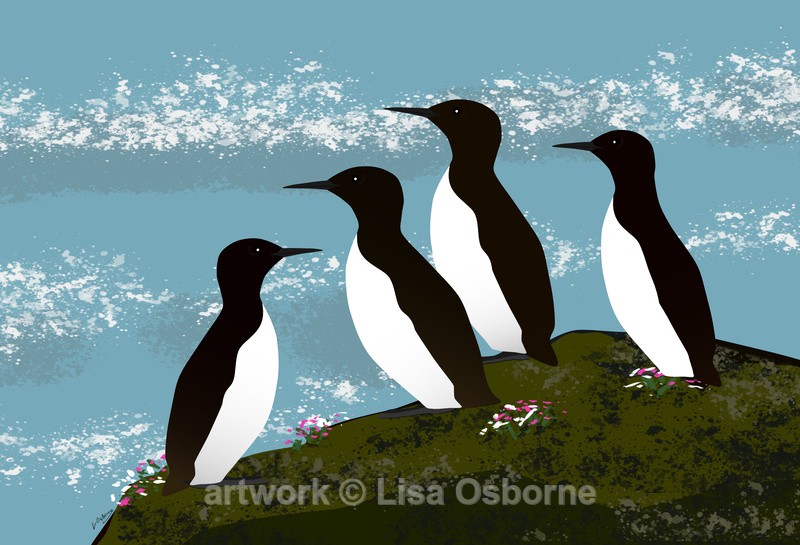Guillemots - DIGITAL ARTWORK