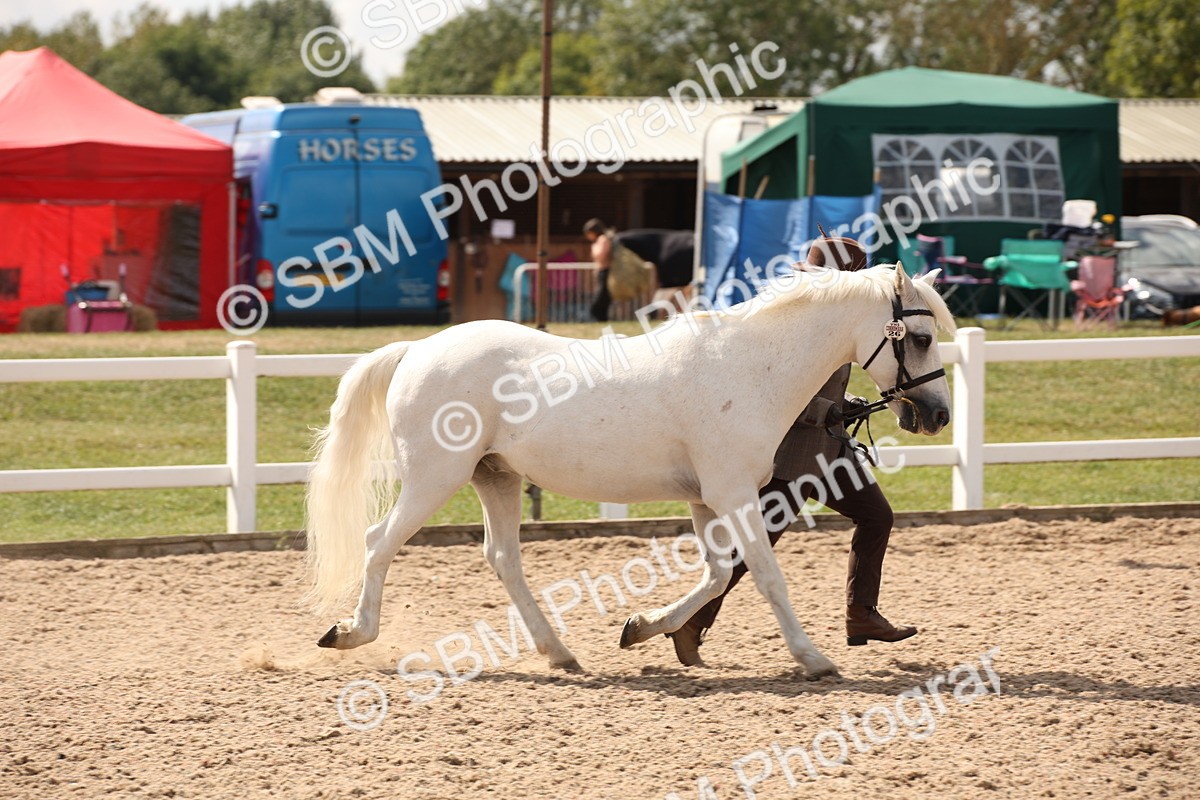 SBM_04587 - Class 20 IH Veteran