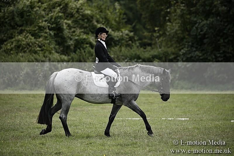 BVR080918 329 - BVRC Novice Dressage & CR 08/09/18