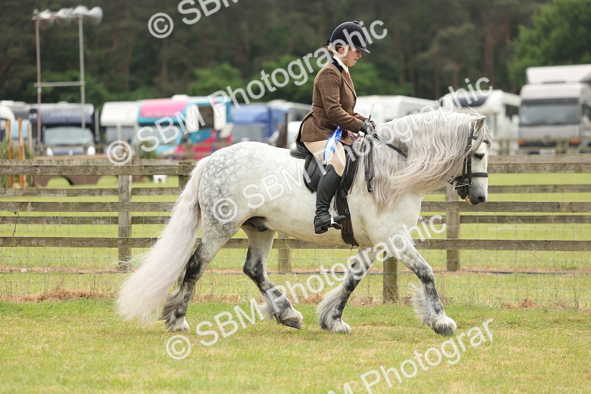 SBM_09170 - Class 78-80 - Ridden M&M Non Welsh Ponies