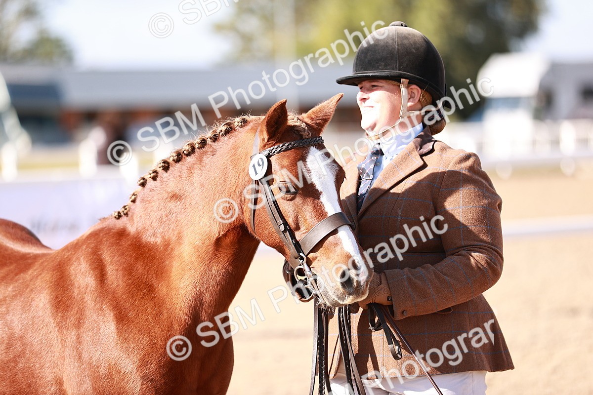 SBM_22724 - Class 704 - IH  Rescue