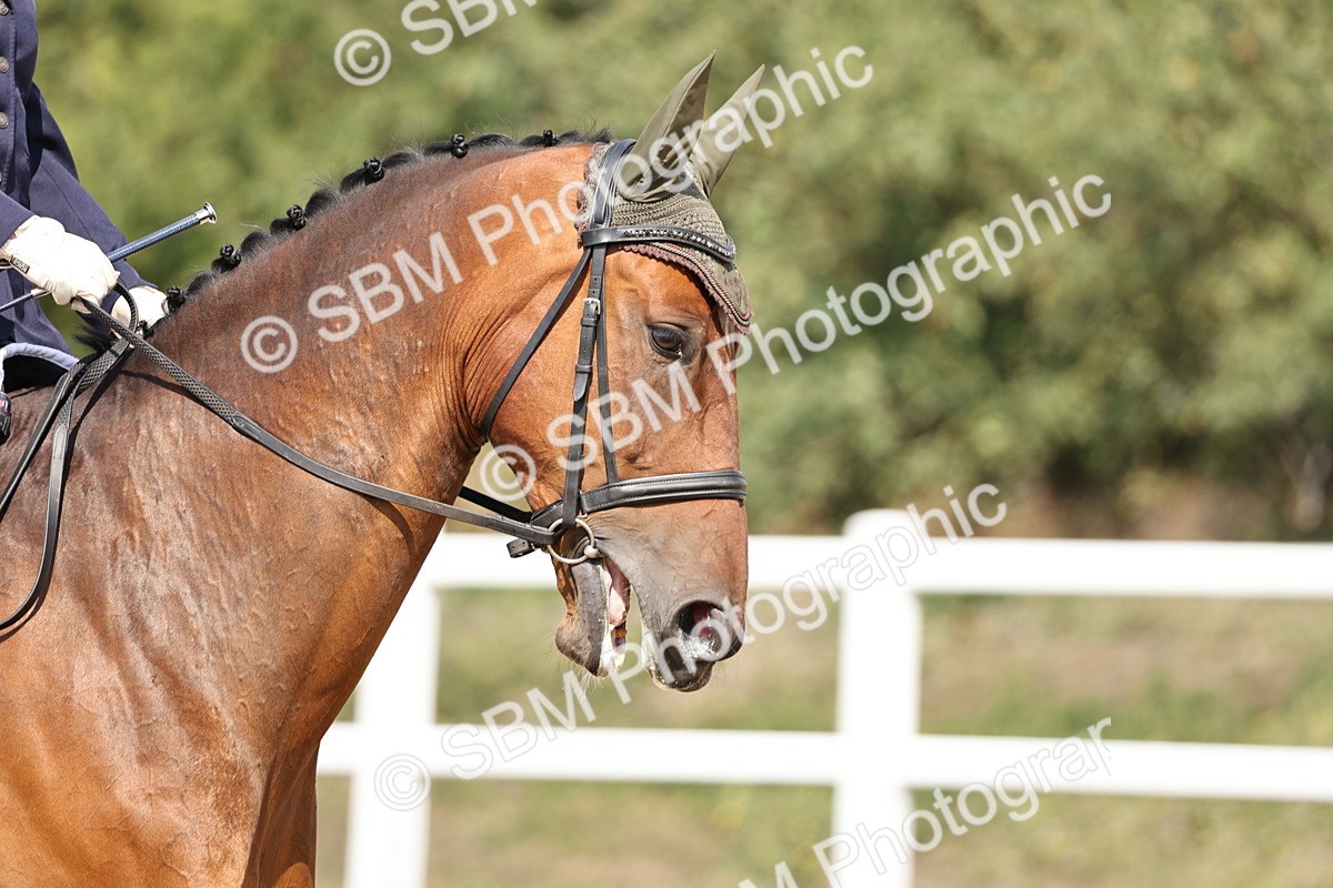 SBM_018578 - Class 16 - Novice 5 - 12.08-13.11