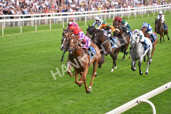 yr23072021r2-31 - Race 2 6.30pm IRE-Incentive It Pays To Buy Irish Stakes