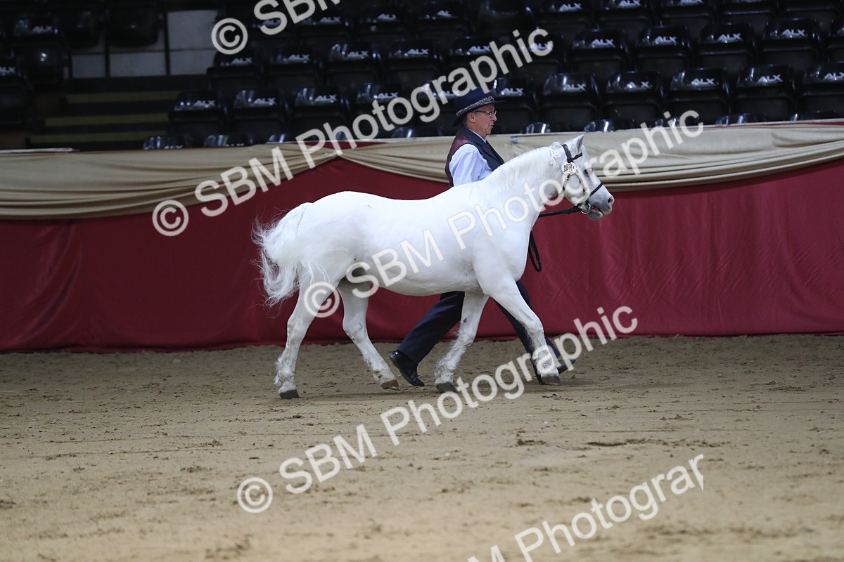 SBM_04942 - Class 8R- Regional -IH Veteran