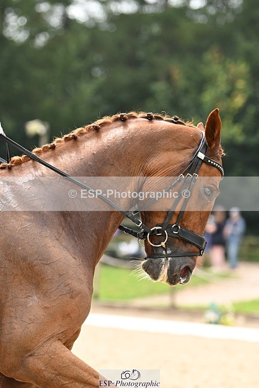 240811-135504-06223 - 143-Tyler.Bradshaw-Gijsbert