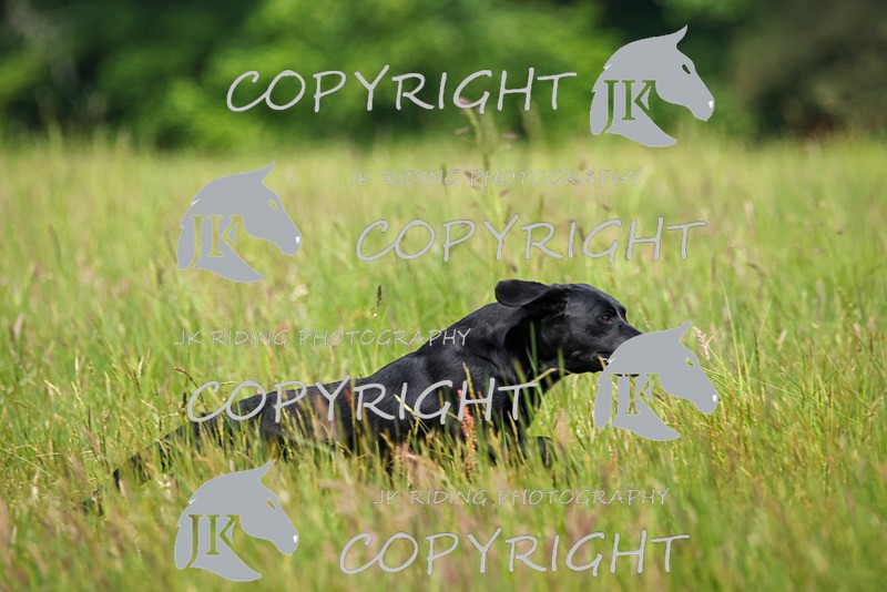 2R6A8613 - 36 Harriet