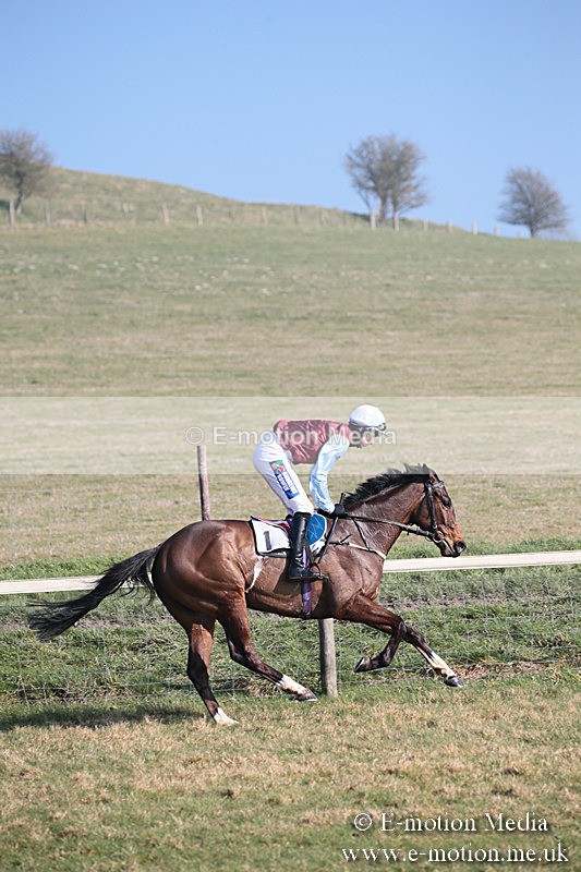 PtP 230219 264 - Vine & Craven Point-To-Point - Barbury 23/02/19