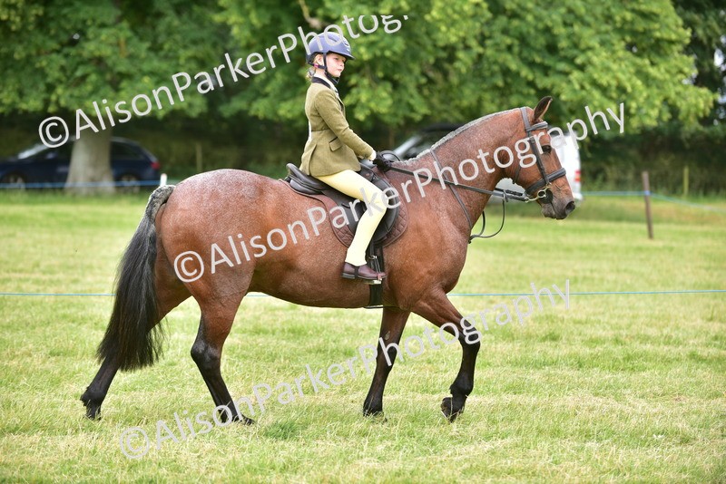 20260614-2670 - Class 13 - Pony Club Pony