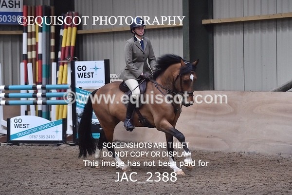 JAC_2388 - CLASS 3 Intermediate Working Hunter