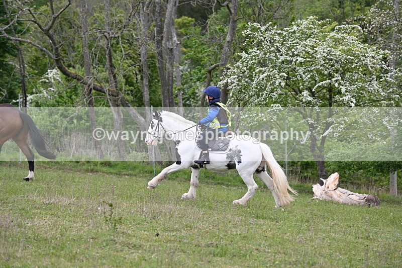 WJ6_1958 - Group 8 A&B Cameras