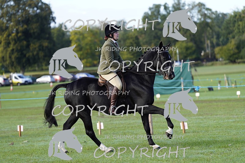 _DSC9344 - Class 8 & 17 Ridden Hunter & Ridden Hunter Pony