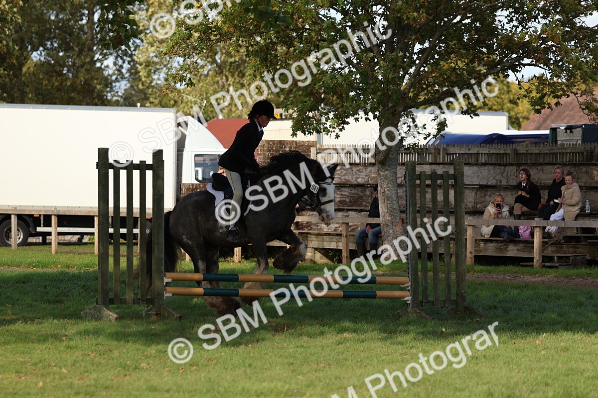 SBM_52485 - S13 - Pony Club Pony