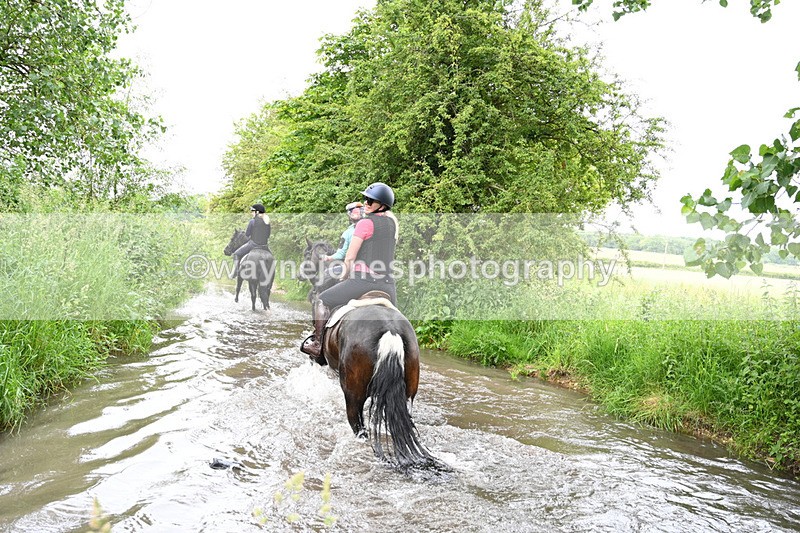 WJ7_2370 - Camera 2 Water Crossing