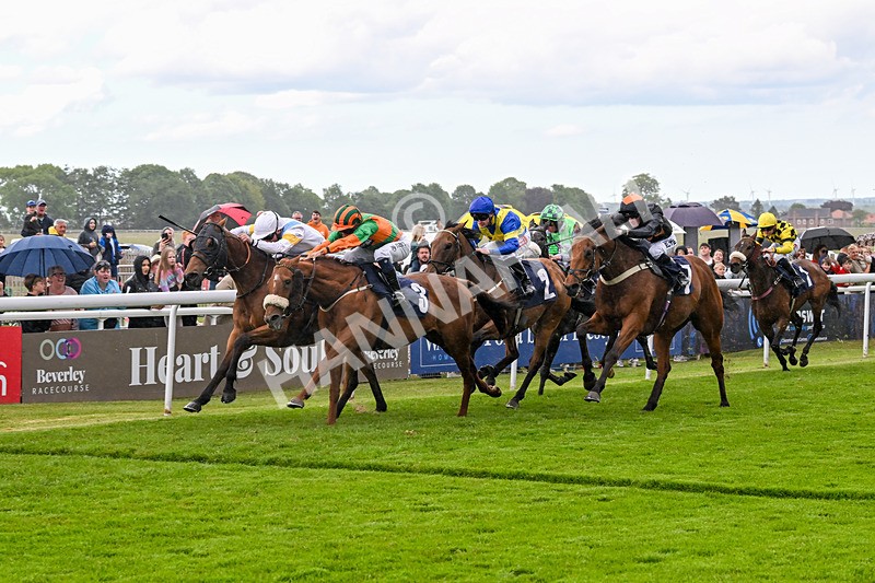 280525-Race 5-Hostelry-5615 - Race 5